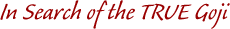 Goji Berry Fruit Himalayan Goji Juice Healers Dr. Earl Mindell Research